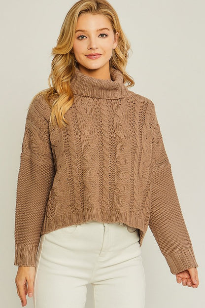 Turtle Neck Cable Knit Sweater