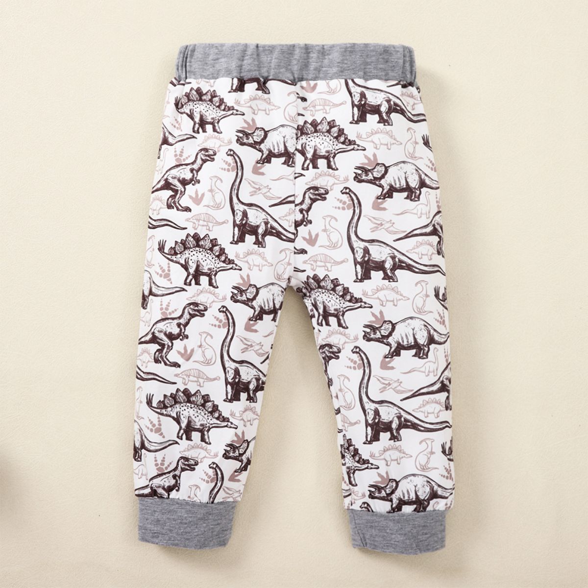 Kids Graphic Sweatshirt and Dinosaur Print Joggers Set Trendsi