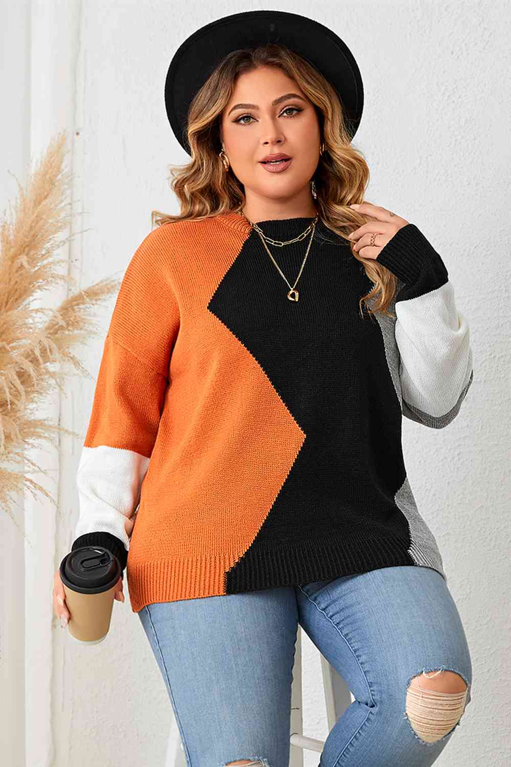 Plus+ Color Block Round Neck Knit Top