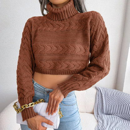 Cable-Knit Turtleneck Cropped Sweater Trendsi